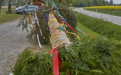 Maibaum-Aufstellen 2025